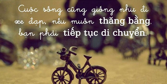 Những câu nói hay về cuộc sống