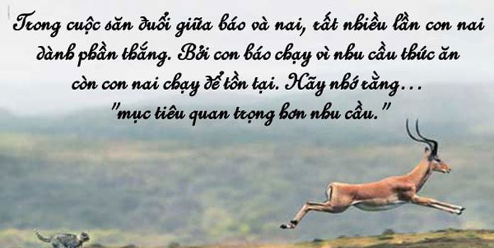 Những câu nói hay về cuộc sống hàng ngày