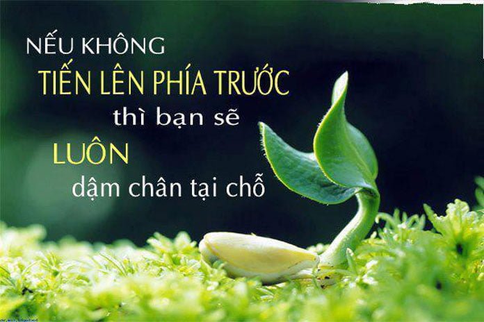 Những câu nói hay về cuộc sống hàng ngày