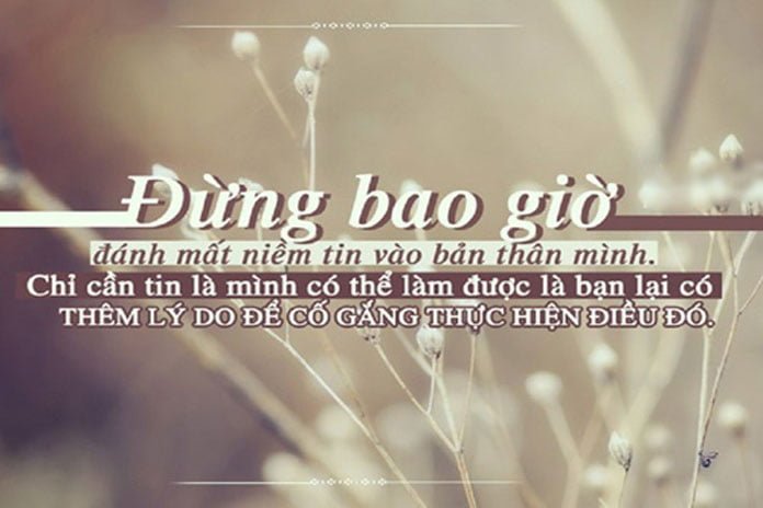 Những câu nói hay về cuộc sống hàng ngày