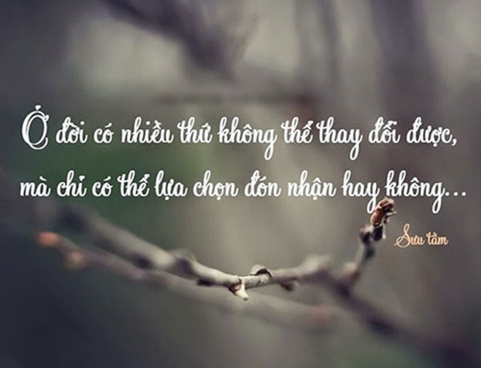 Những câu nói hay về cuộc sống hàng ngày