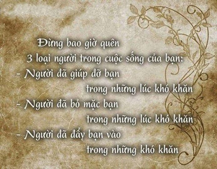 Những câu nói hay về cuộc sống hàng ngày