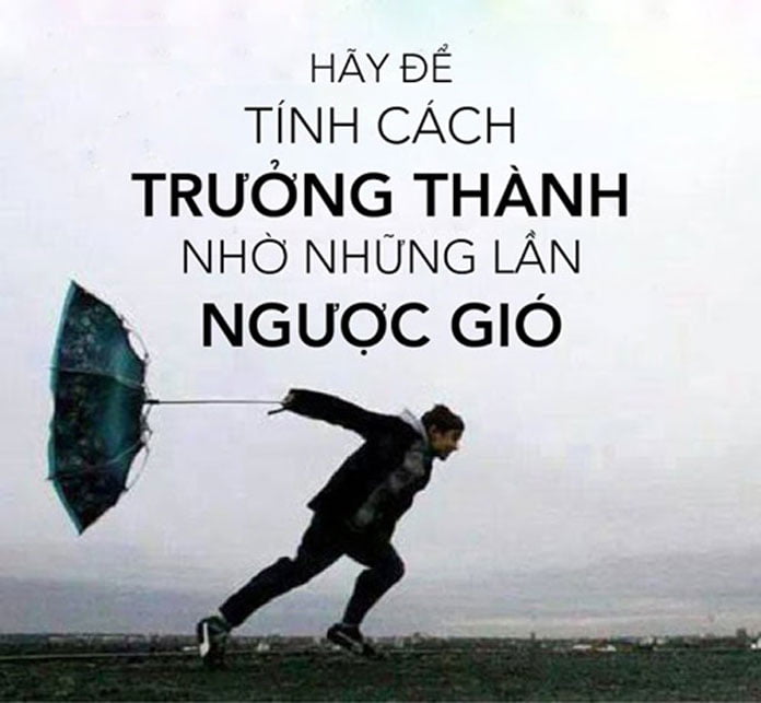Những câu nói hay về cuộc sống hàng ngày
