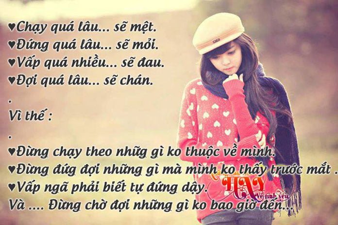 Những câu nói hay về cuộc sống hàng ngày