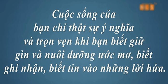 Những câu nói hay về cuộc sống hàng ngày phần 5