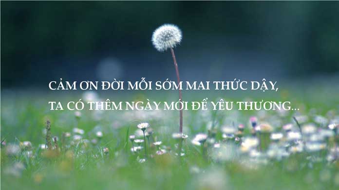 Nhung cau noi hay 13