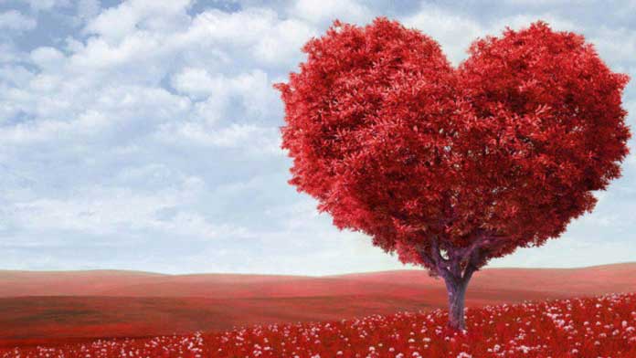 Câu nói hay về cuộc sống và tình yêu