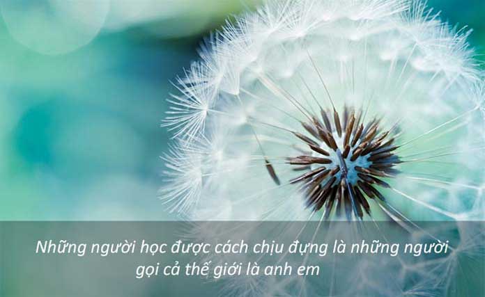 Câu nói hay về cuộc sống và tình yêu