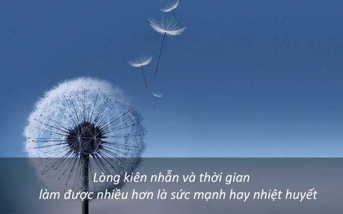 Câu nói hay về cuộc sống và tình yêu