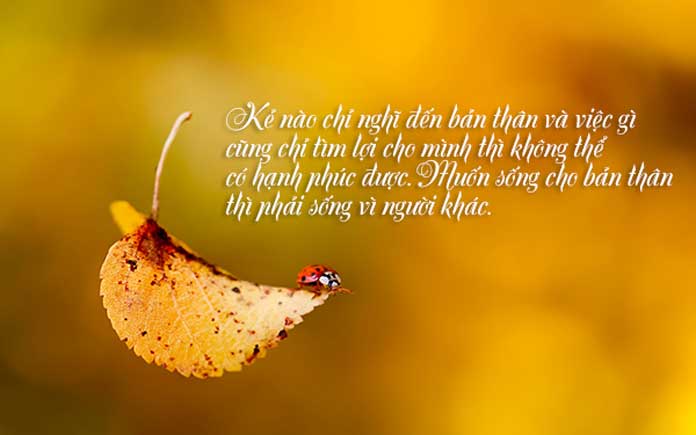 Câu nói hay về hạnh phúc