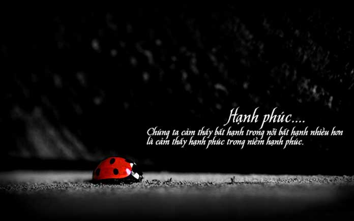 Câu nói hay về hạnh phúc