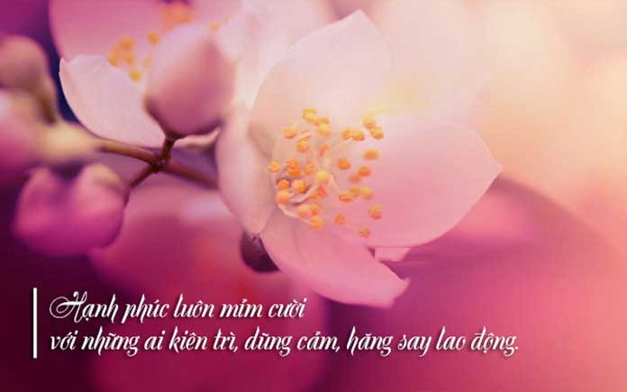 Câu nói hay về hạnh phúc