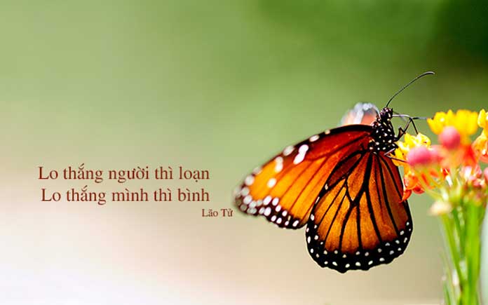 Những câu nói hay về tình yêu hạnh phúc