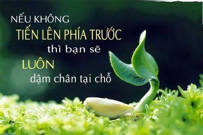 Châm ngôn cuộc sống hay và ý nghĩa