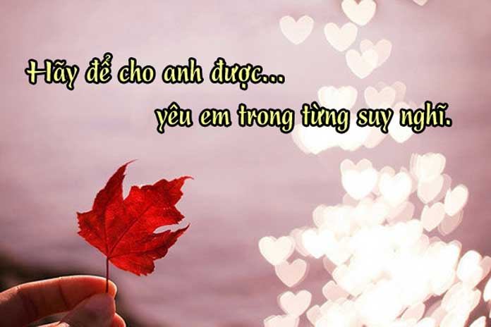 Những bài thơ hay về tình yêu