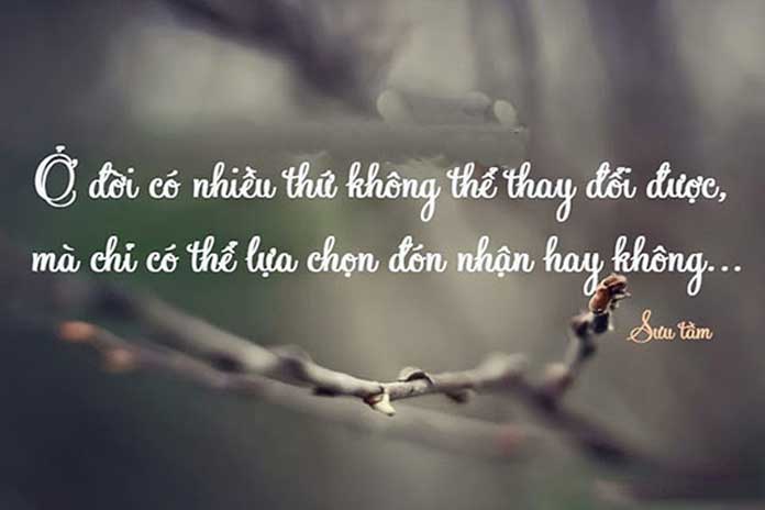 Những câu danh ngôn hay