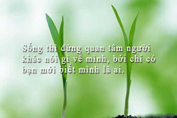 Những câu danh ngôn hay