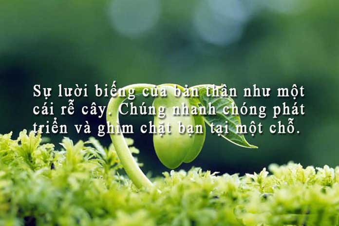 Những câu danh ngôn hay