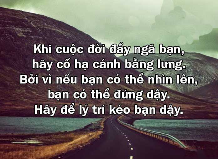 Những câu danh ngôn hay về cuộc sống