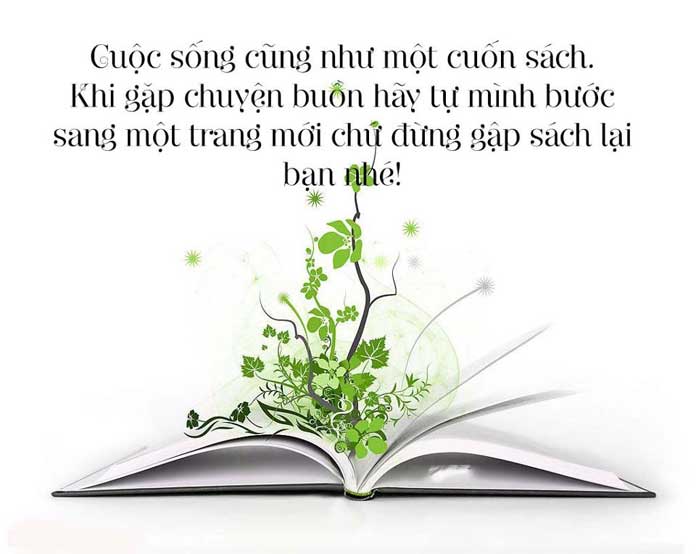 Những câu danh ngôn hay về cuộc sống