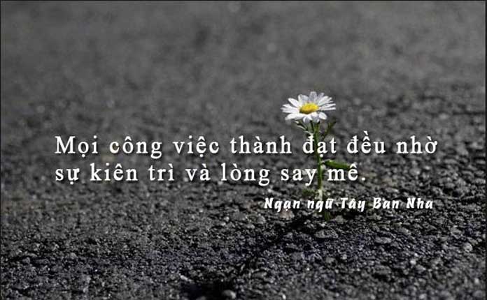 Những câu ngạn ngữ hay về cuộc sống