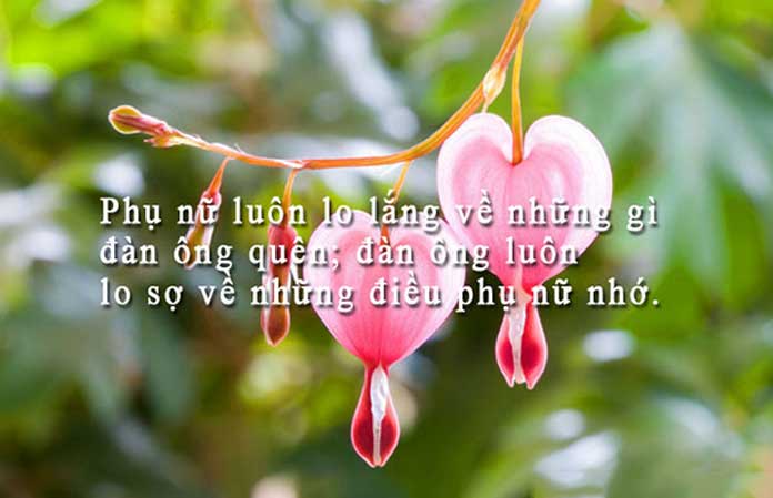 Những câu nói hay về con gái