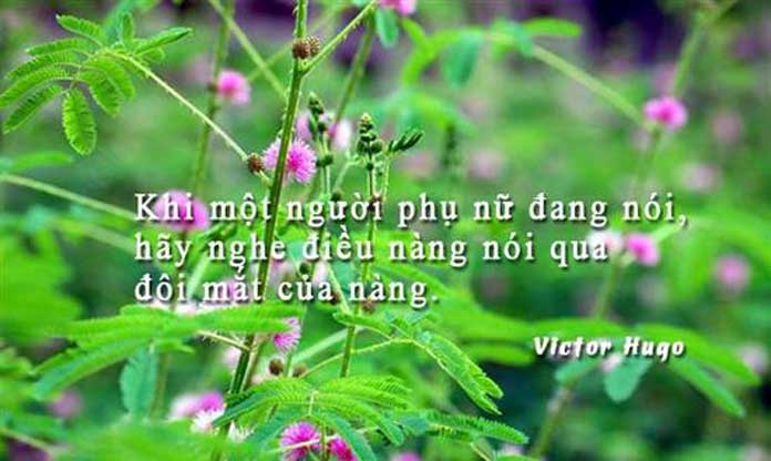 Những câu nói hay về con gái