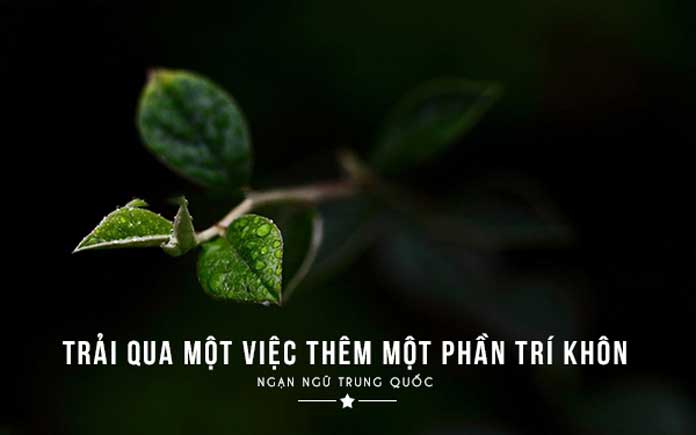 Những câu nói hay về công việc