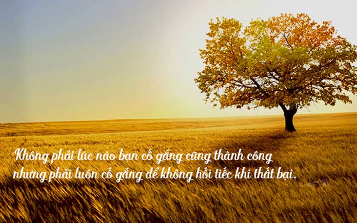 Những câu nói hay về thành công