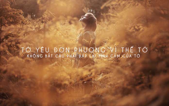 Những câu nói hay về tình yêu đơn phương