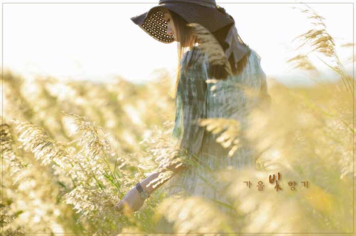 Những câu nói hay về tình yêu đơn phương