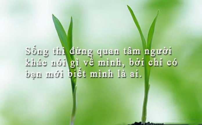 Những câu thơ hay nhất về cuộc sống