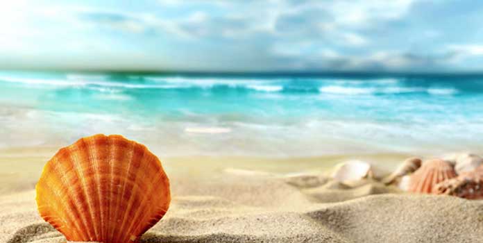 Những câu thơ hay về cuộc sống