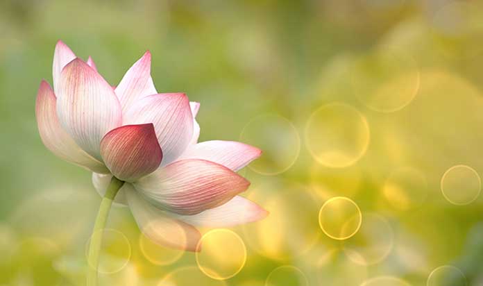 Những lời khuyên hay về cuộc sống