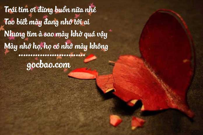 Các câu nói hay về tình yêu