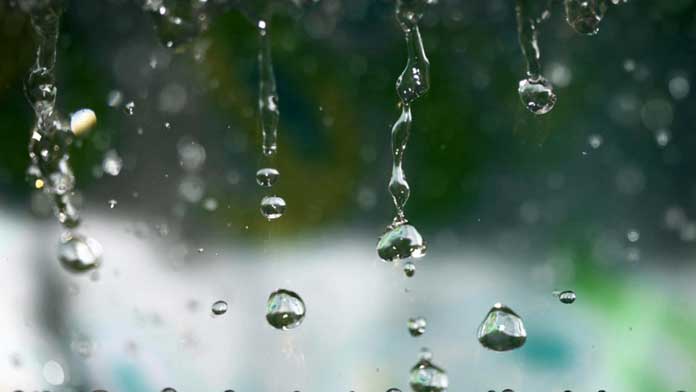 Những câu tục ngữ hay về cuộc sống