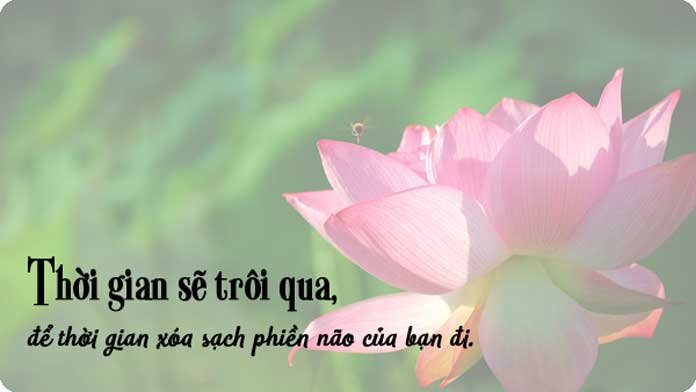 Lời phật dạy về cuộc sống