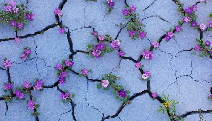 Châm ngôn ngày mới