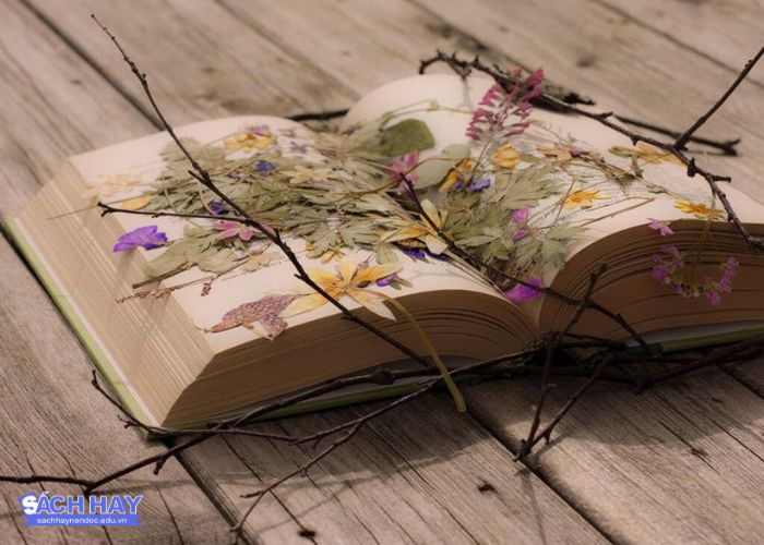 Những câu nói hay về sách bằng tiếng anh Những câu nói hay về sách bằng tiếng anh