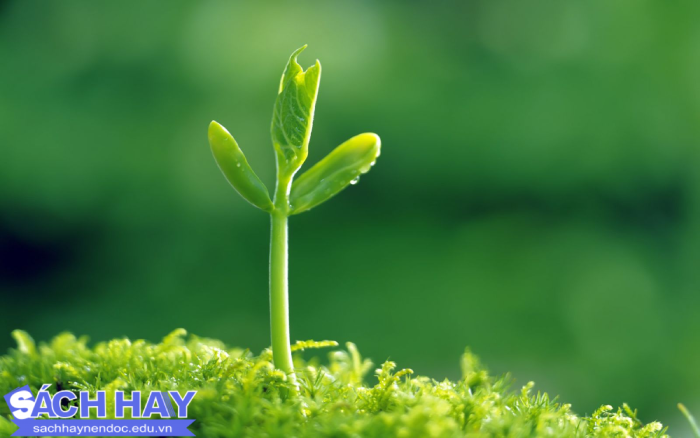 Dành tặng bạn những trích dẫn chữa lành Dành tặng bạn những trích dẫn chữa lành