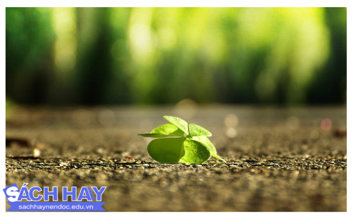 Những câu nói ấn tượng trong hạt giống tâm hồn Những câu nói ấn tượng trong hạt giống tâm hồn