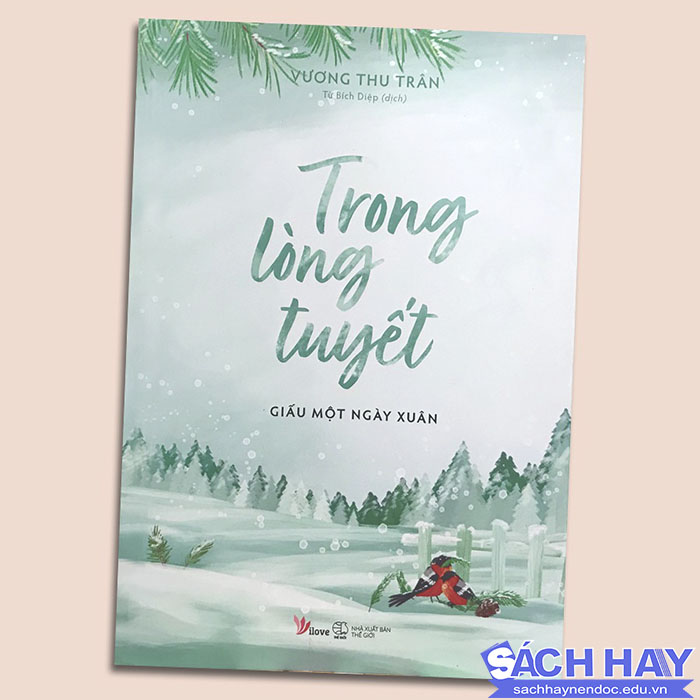 Review sách trong lòng tuyết giấu một ngày thanh xuân Review sách trong lòng tuyết giấu một ngày thanh xuân