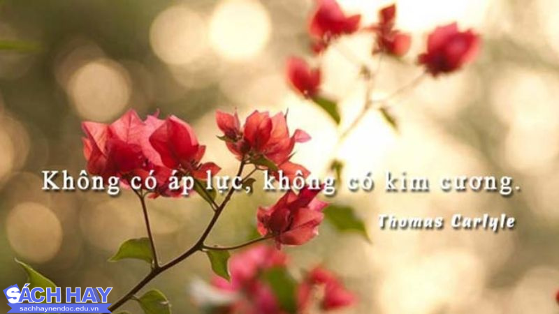 Sưu tầm những câu nói ấn tượng về bản thân Sưu tầm những câu nói ấn tượng về bản thân