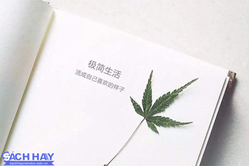 Những câu nói tiếng Trung hay về ước mơ Những câu nói tiếng Trung hay về ước mơ