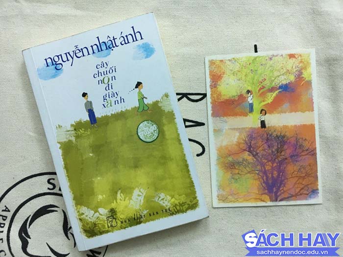 Review sách Cây chuối non đi giày Review sách Cây chuối non đi giày