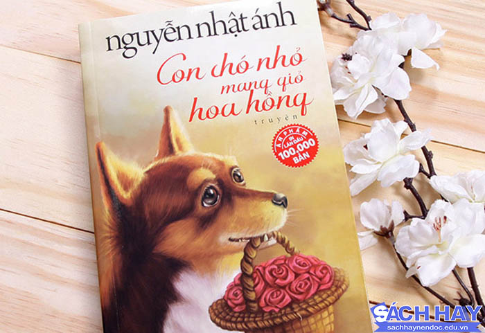 Review sách con chó nhỏ bên giỏ hoa hồng Review sách con chó nhỏ bên giỏ hoa hồng