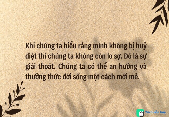 Không diệt không sinh đừng sợ hãi Pdf