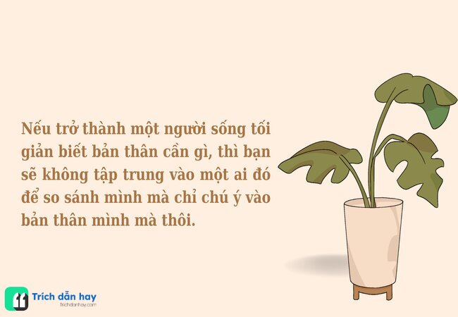 Lối sống tối giản của người Nhật - sống đơn giản cho đời thanh thản